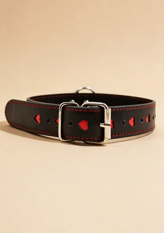 Obroża ze smyczą z regulowanym rozmiarem 35-48 cm